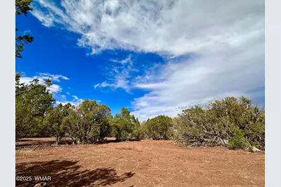 14 County Rd N3573, Vernon, AZ 85940 - Photo 12