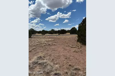 8384 Lake View Drive, Show Low, AZ 85901 - Photo 8