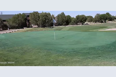 8384 Lake View Drive, Show Low, AZ 85901 - Photo 12