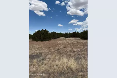 8384 Lake View Drive, Show Low, AZ 85901 - Photo 6