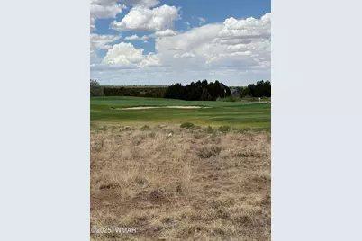 8384 Lake View Drive, Show Low, AZ 85901 - Photo 2