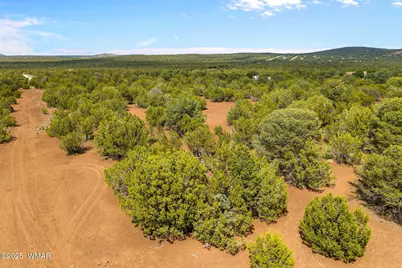 Tbd Hwy 61, Vernon, AZ 85940 - Photo 10