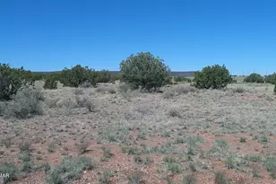 9671 Navajo Ln, Snowflake, AZ 85937 - Photo 1