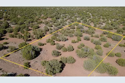 24 County Road 8063, Concho, AZ 85924 - Photo 2