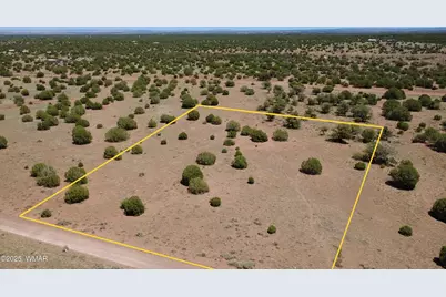 4247 E Pinto Road, Snowflake, AZ 85937 - Photo 2