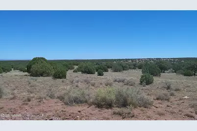 4247 E Pinto Road, Snowflake, AZ 85937 - Photo 10