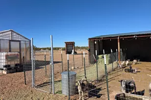 8619 E Juniper Berry Trail, Snowflake, AZ 85937 - Photo 8