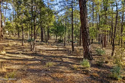 1400 E Pine Oaks Drive, Show Low, AZ 85901 - Photo 2