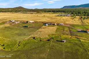 53 Co Rd 2092, Alpine, AZ 85920 - Photo 32
