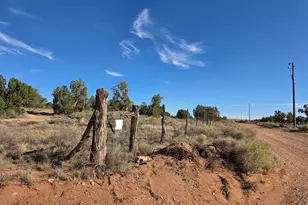 3736 Bum Heel Ranch Rd, Snowflake, AZ 85937 - Photo 4