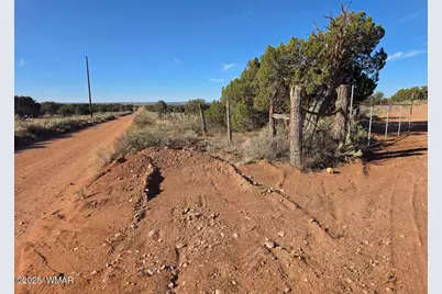 3736 Bum Heel Ranch Road, Snowflake, AZ 85937 - Photo 6