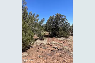 108 Colorado Avenue, Concho, AZ 85924 - Photo 16