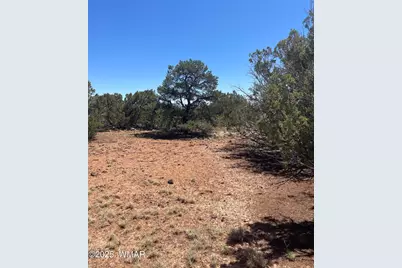 108 Colorado Avenue, Concho, AZ 85924 - Photo 6