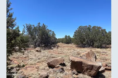 108 Colorado Avenue, Concho, AZ 85924 - Photo 4