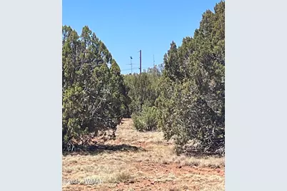 108 Colorado Avenue, Concho, AZ 85924 - Photo 8