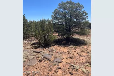 108 Colorado Avenue, Concho, AZ 85924 - Photo 12