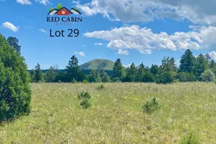 Lot 29 Red Cabin Ranch, Vernon, AZ 85940 - Photo 1