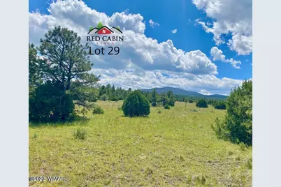 Lot 29 Red Cabin Ranch, Vernon, AZ 85940 - Photo 2
