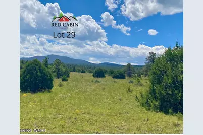 Lot 29 Red Cabin Ranch, Vernon, AZ 85940 - Photo 10