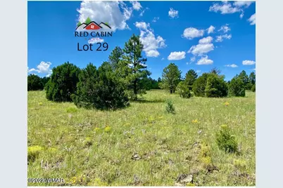 Lot 29 Red Cabin Ranch, Vernon, AZ 85940 - Photo 8
