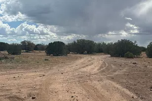 1B County Road 8285, Concho, AZ 85924 - Photo 18