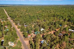 2882 Verde Rd, Overgaard, AZ 85933 - Photo 28