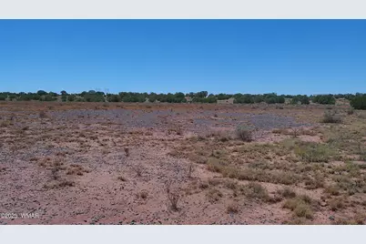 Tbd Ranch Of The White Mountains10, Concho, AZ 85924 - Photo 12