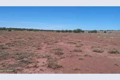 Tbd Ranch Of The White Mountains10, Concho, AZ 85924 - Photo 14