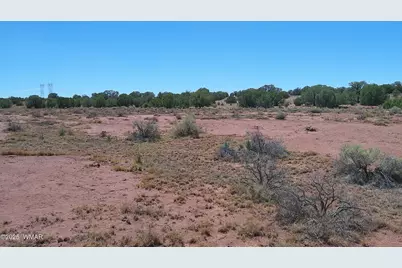Tbd Ranch Of The White Mountains10, Concho, AZ 85924 - Photo 18