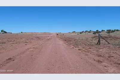 Tbd Ranch Of The White Mountains10, Concho, AZ 85924 - Photo 8