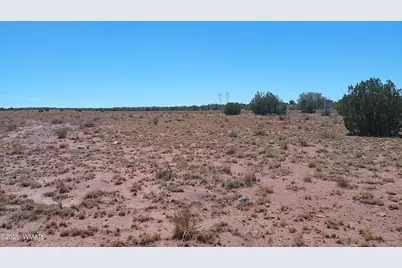 Tbd Ranch Of The White Mountains10, Concho, AZ 85924 - Photo 10