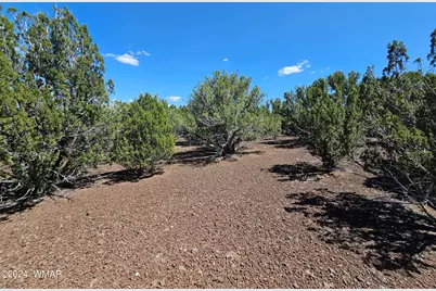 1259 Kb Ranch Road, Show Low, AZ 85901 - Photo 8