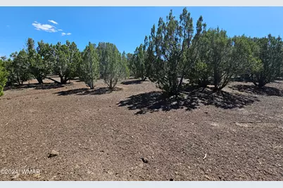 1259 Kb Ranch Road, Show Low, AZ 85901 - Photo 12