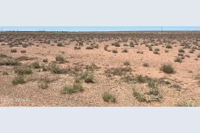 7736 Sandhill Road, Sun Valley, AZ 86029 - Photo 12