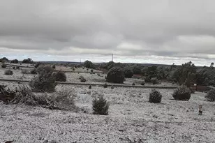 1793 Sunnyview Ln, Clay Springs, AZ 85923 - Photo 28