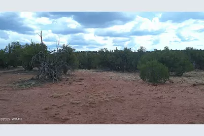 2716 Zaidee Road, Show Low, AZ 85901 - Photo 12