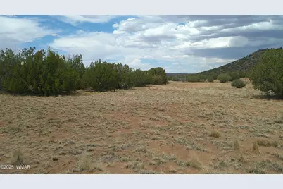 2716 Zaidee Road, Show Low, AZ 85901 - Photo 22