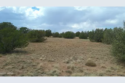 2716 Zaidee Road, Show Low, AZ 85901 - Photo 24