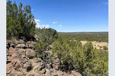 5 County Road, Concho, AZ 85924 - Photo 2