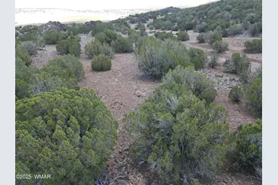 5 County Road, Concho, AZ 85924 - Photo 6