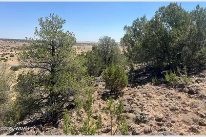 5 County Road, Concho, AZ 85924 - Photo 1