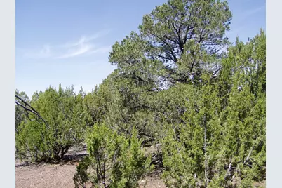 Lot 11 Uphill Trail, Vernon, AZ 85940 - Photo 1