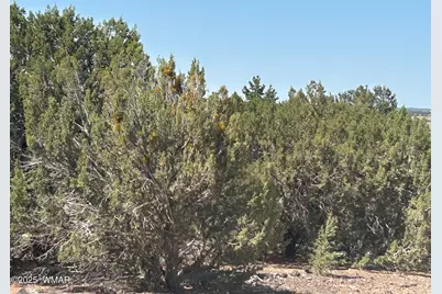 Lot 11 Uphill Trail, Vernon, AZ 85940 - Photo 16