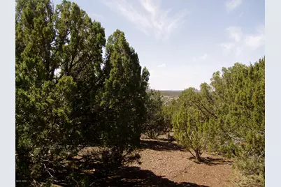 Lot 11 Uphill Trail, Vernon, AZ 85940 - Photo 6