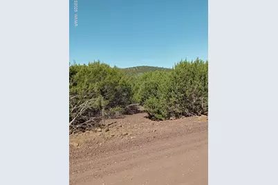 Tbd County Road 3193 Lot 258, Vernon, AZ 85940 - Photo 1