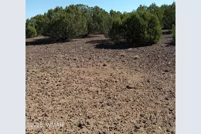 Tbd County Road 3193 Lot 258, Vernon, AZ 85940 - Photo 2