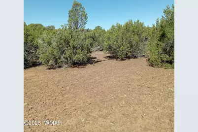 Tbd County Road 3193 Lot 258, Vernon, AZ 85940 - Photo 4