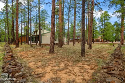 6383 Wild Cat Way, Pinetop, AZ 85935 - Photo 4