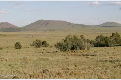 Lot 55 Concho Lakeland, Concho, AZ 85924 - Photo 4