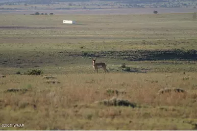 Lot 55 Concho Lakeland, Concho, AZ 85924 - Photo 2